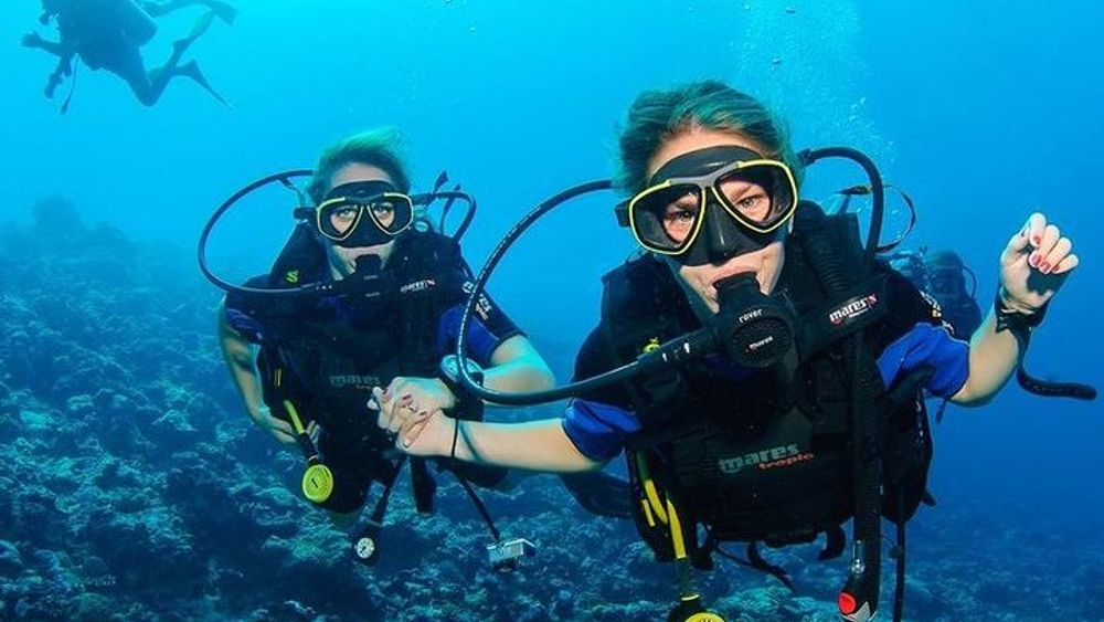 Two Dives for certified divers and Snorkeling in Fujairah