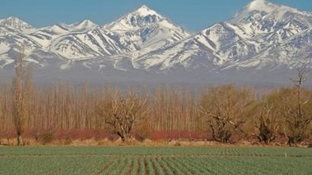 Mendoza City Tour