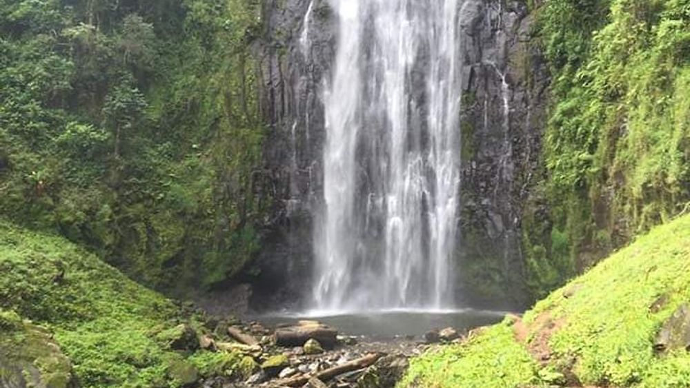 Day trip to materuni waterfalls and coffee tour