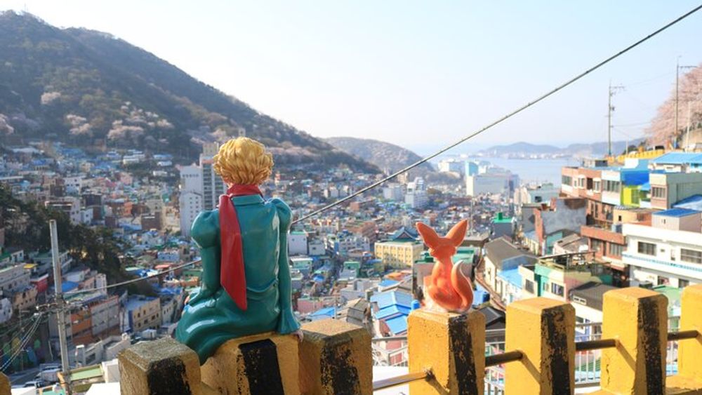 Busan Sightseeing Tour with Beomeosa Temple Visit