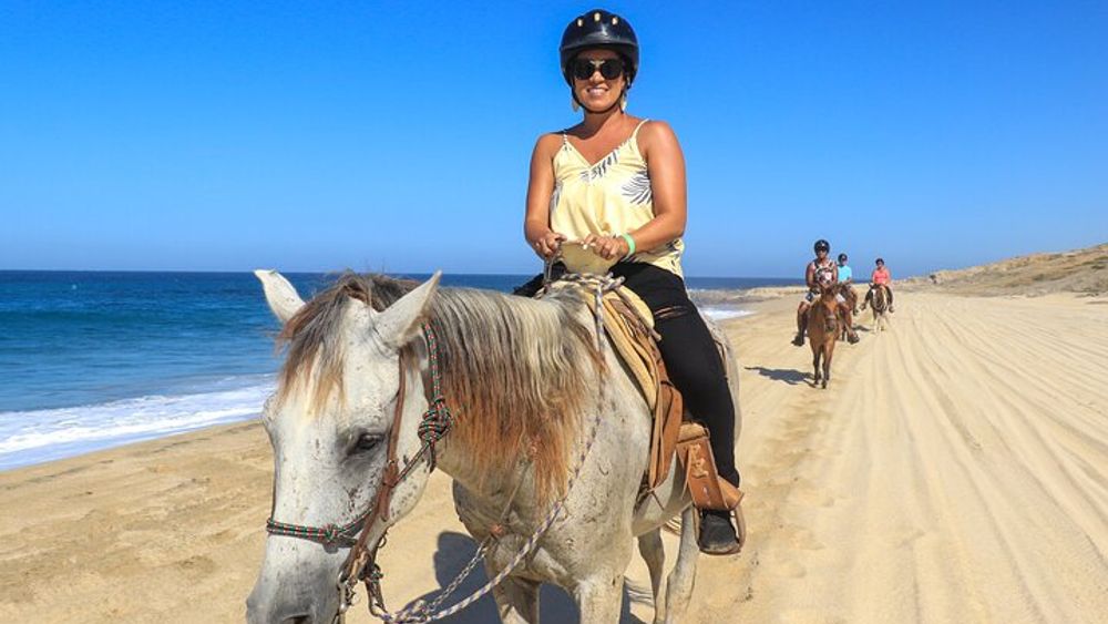 San Jose del Cabo Small-Group Horseback Riding Excursion