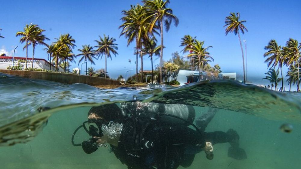 Escambron Marine Park Discover Scuba Diving Small Group Tour