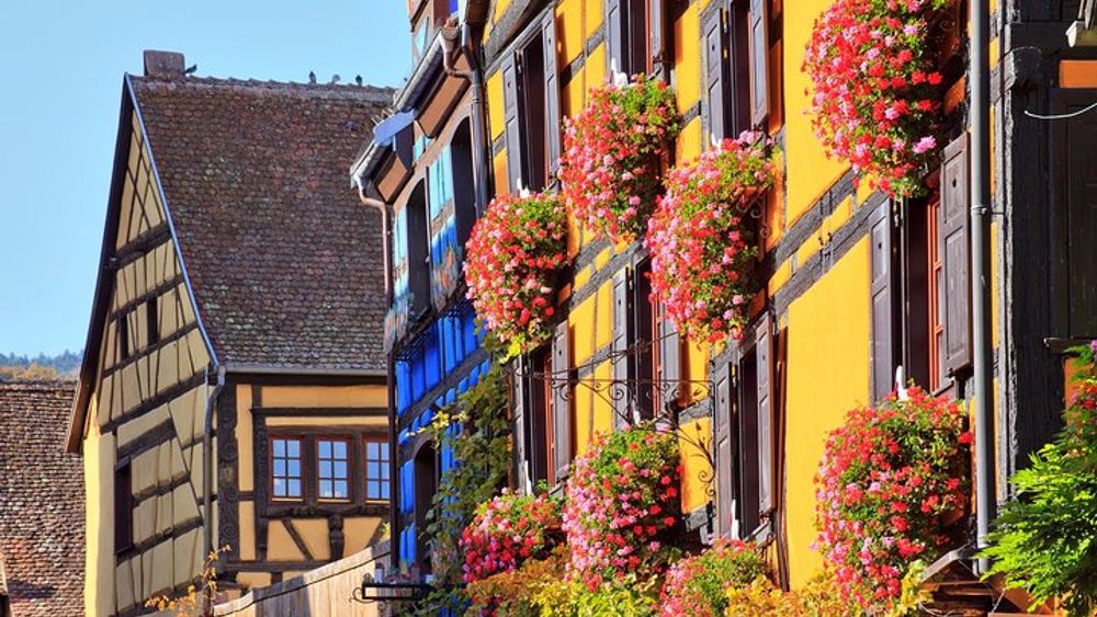 Alsace Small-Group Day Tour from Colmar