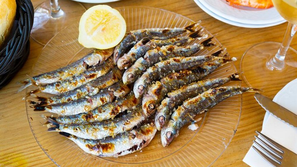 Malaga Food Tour