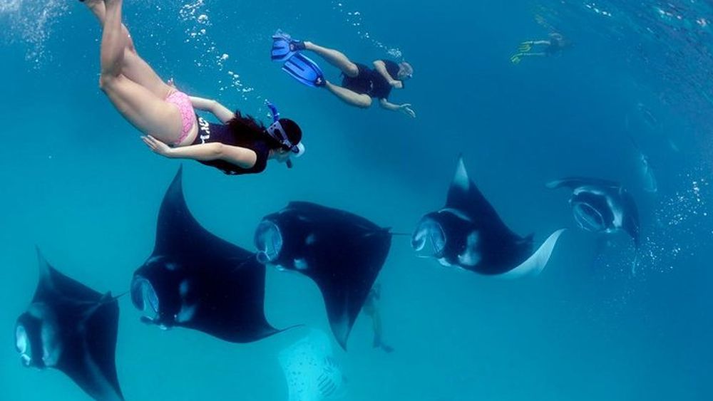 Nusa Penida Snorkeling Trip with West Coast Tour
