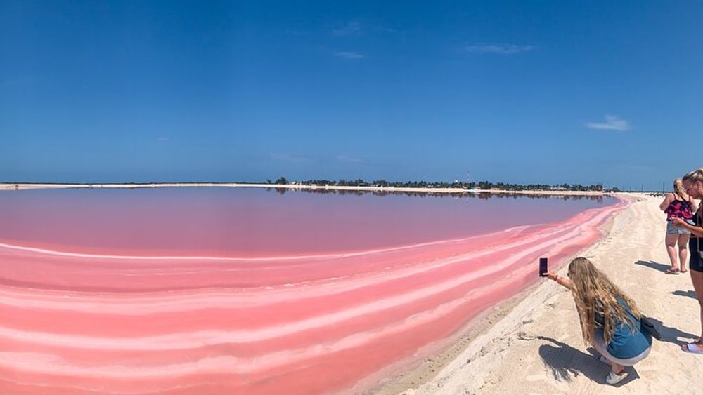 Full Day Tour in Rio Lagartos and Coloradas with Lunch