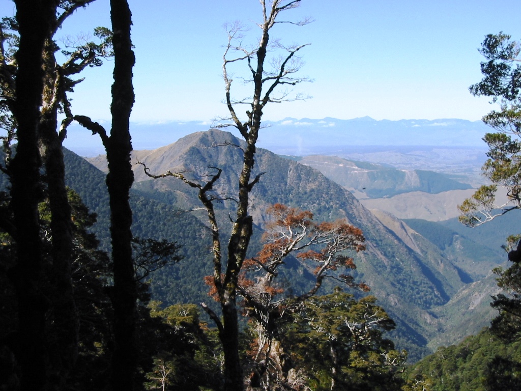 Mount Arthur Flora Trail start