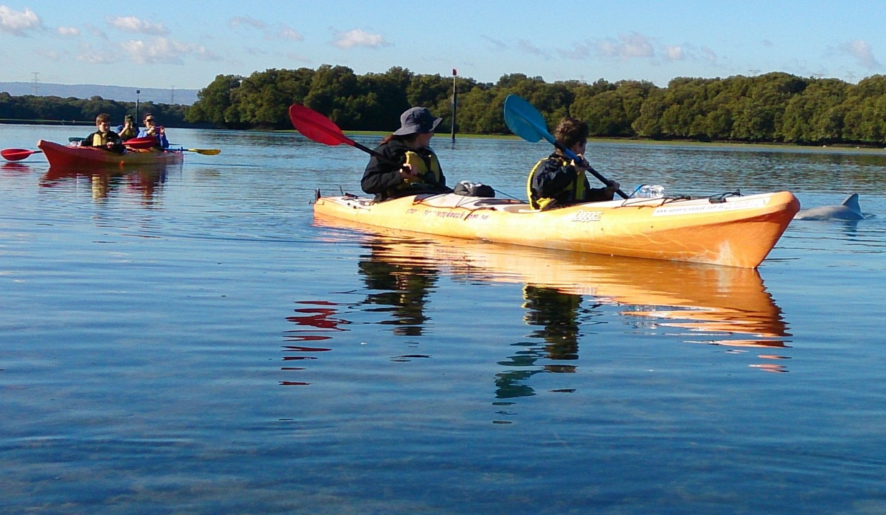 Dolphin Sanctuary 2-person kayak hire