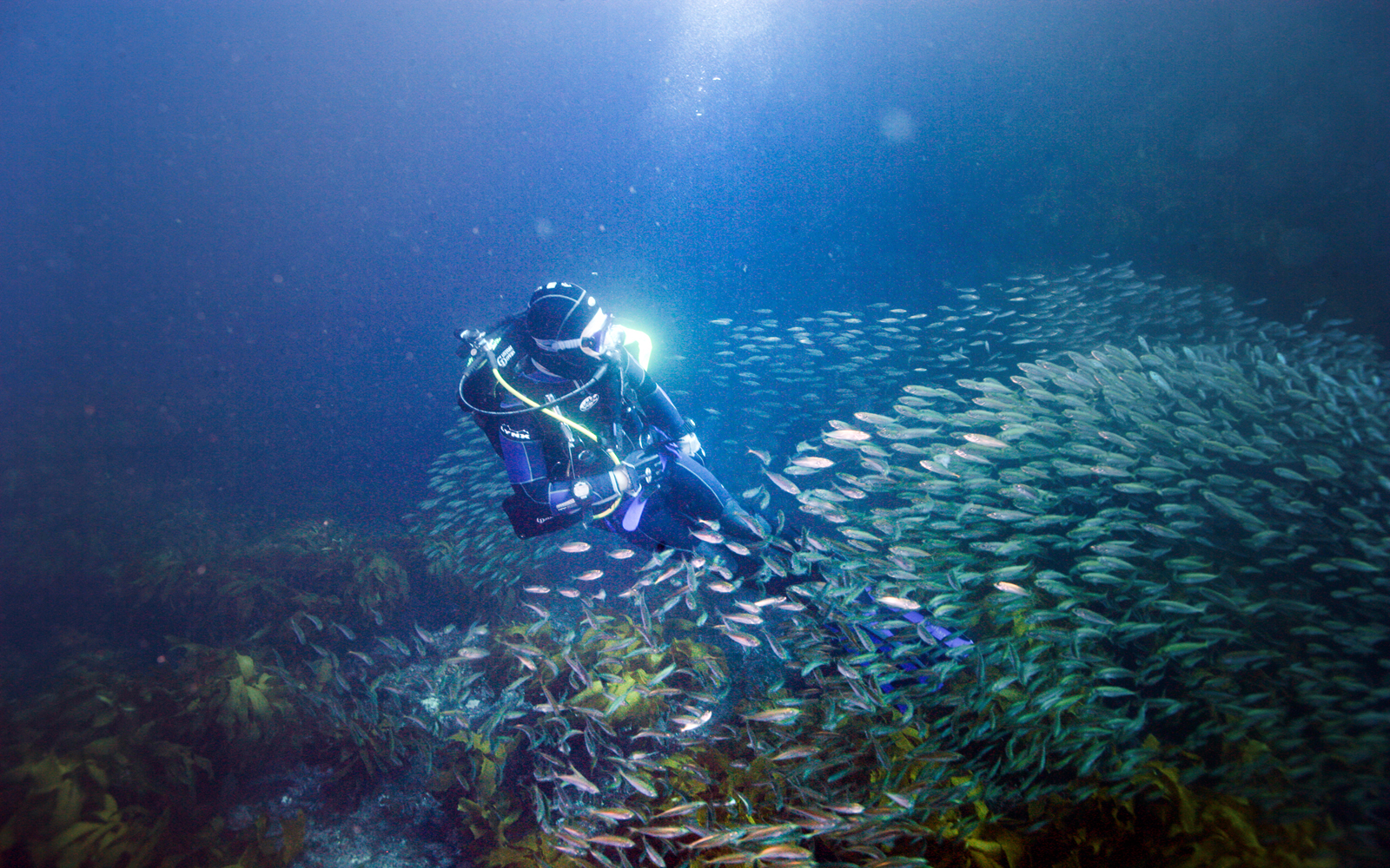 SDI Advanced Adventure Diver