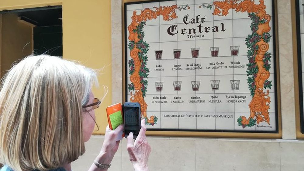 Malaga Like a Local: Small-Group Tour