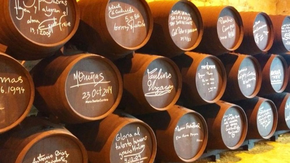 Wine Tourism Half Day Tour