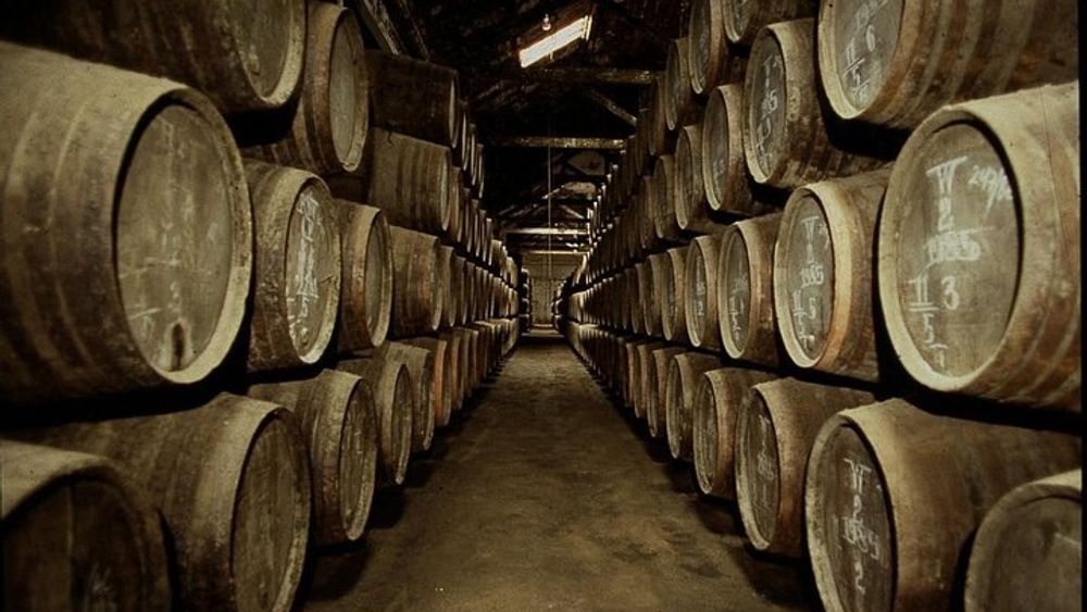 Port Wine Lodges Tour Including 7 portWine Tastings (English)