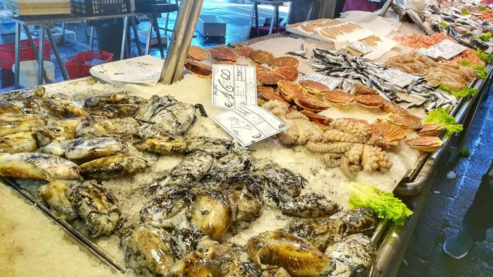 Tasty Rialto Farmers Market Food Tour in Venice with Wine Tasting & Sightseeing