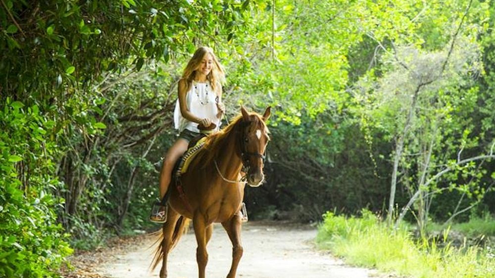 Ziplining and Horseback Riding Experience from Cancun and Playa del Carmen