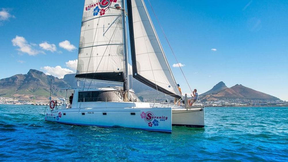 Sailing in The Bay by Catamaran (One Hour)