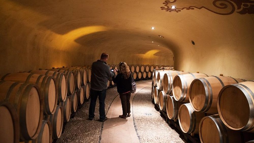 Supertuscan Wine Tour - Masterclass by a Wine Expert