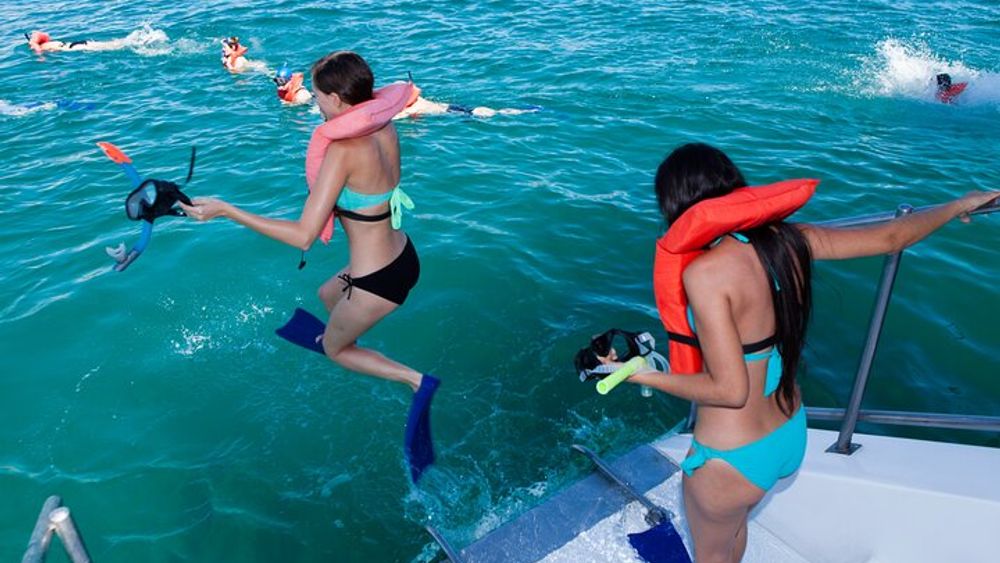 Best of Cabo Highlights 6x1