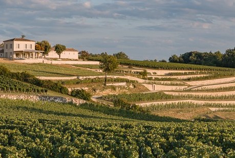 SAINT EMILION FULL DAY SHARED WINE TOUR FROM BORDEAUX