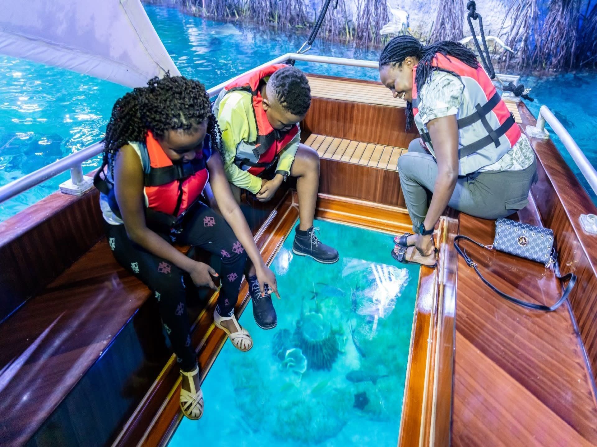 The National Aquarium Abu Dhabi Bu Tinah Dhow Experience