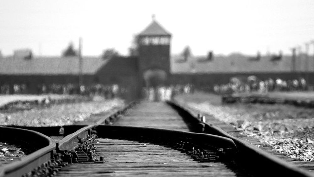 From Krakow: Auschwitz & Wieliczka Salt Mine Guided Tour