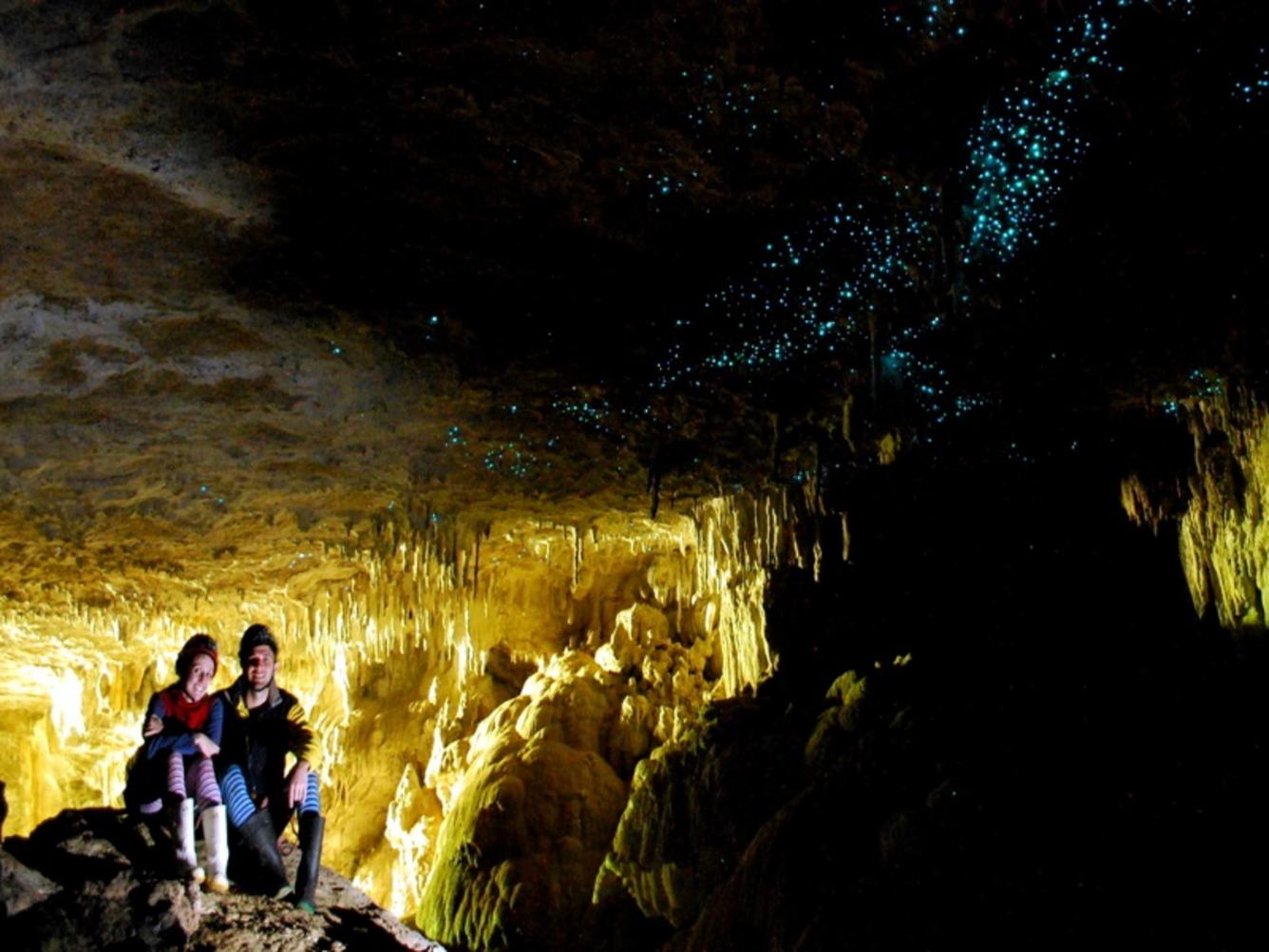 Waitomo Glowworm Caves Tour