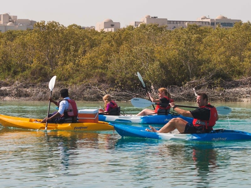 Sea Hawk Guided Kayak Tour in the Mangroves