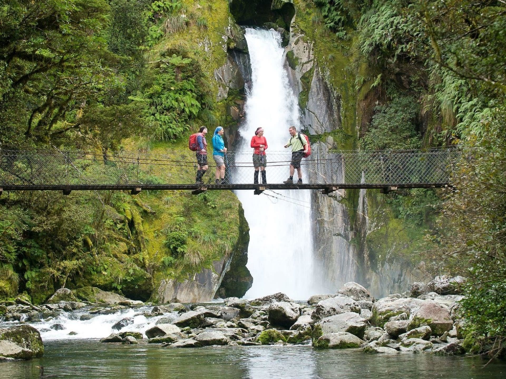 Milford Sound Cruise and Milford Track Tour