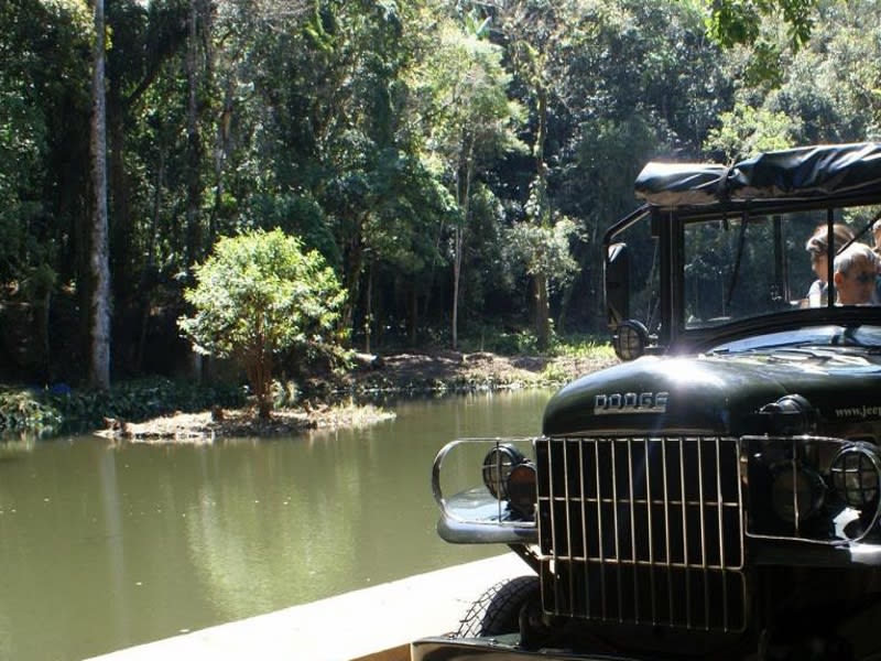 Rainforest Jeep Adventure