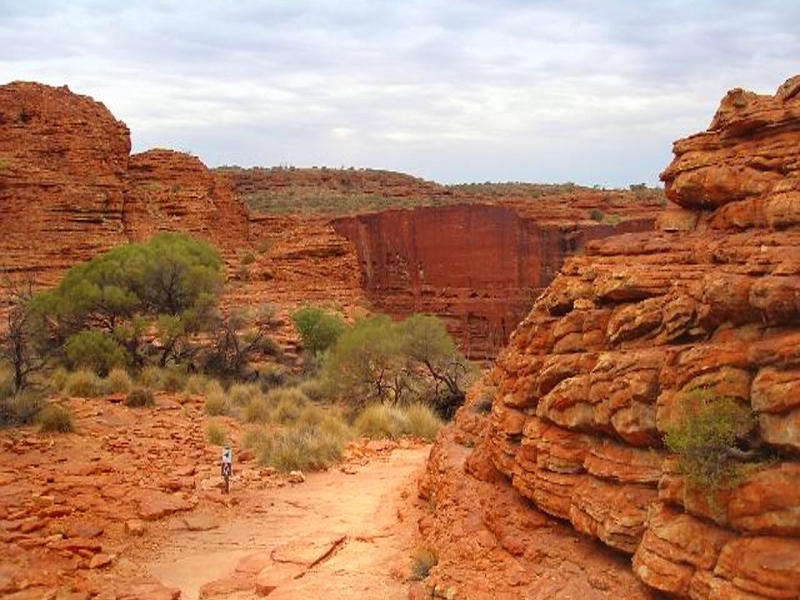 Kings Canyon to Ayers Rock Transfer