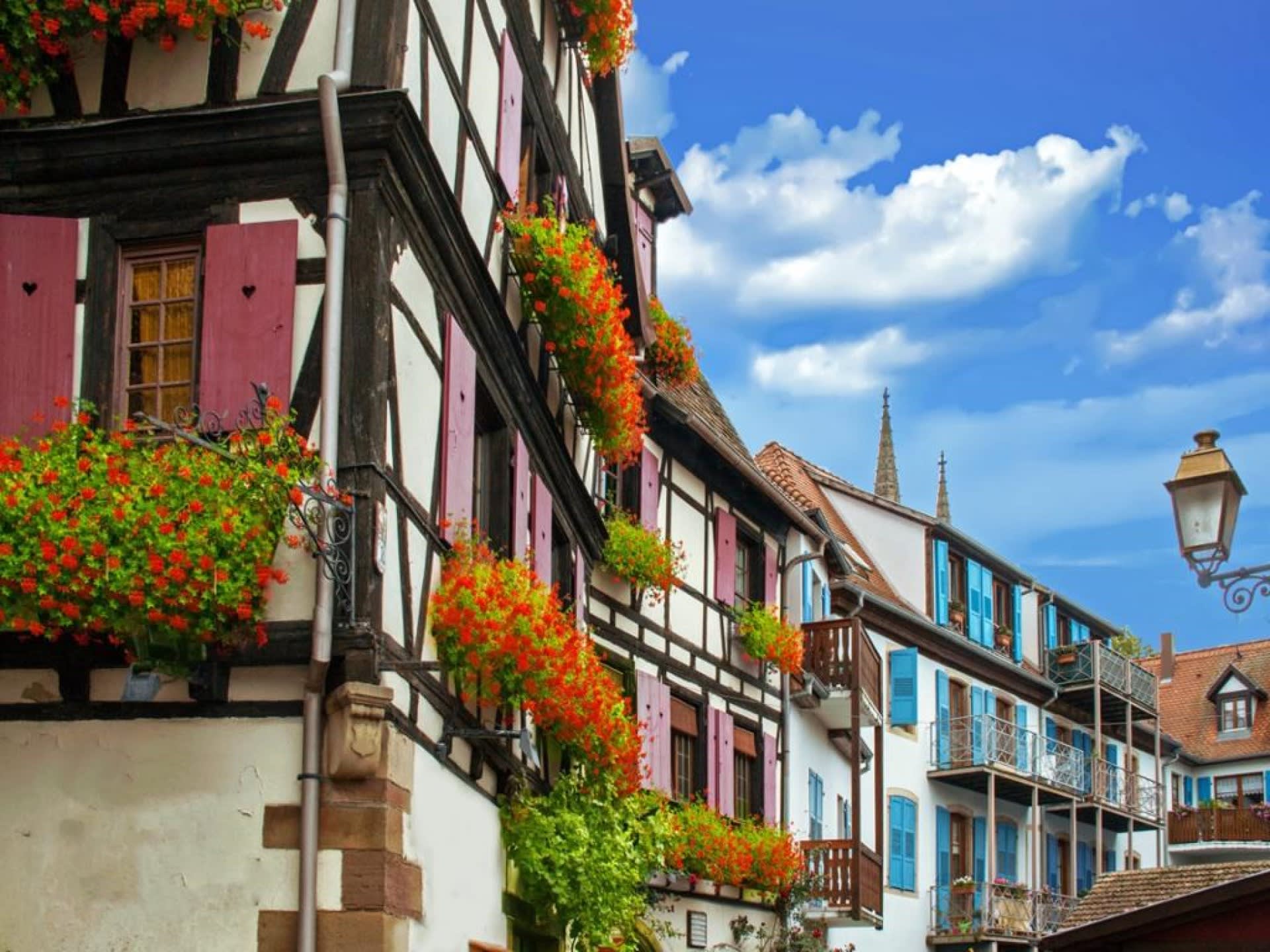 Alsace Half Day Tour From Strasbourg