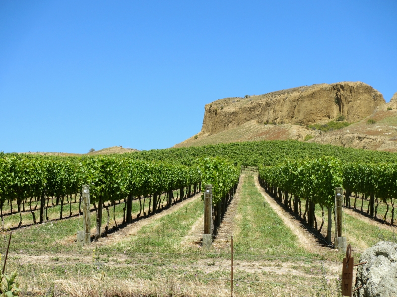 Private Otago Gourmet Scenic Wine Tour - 1 Day