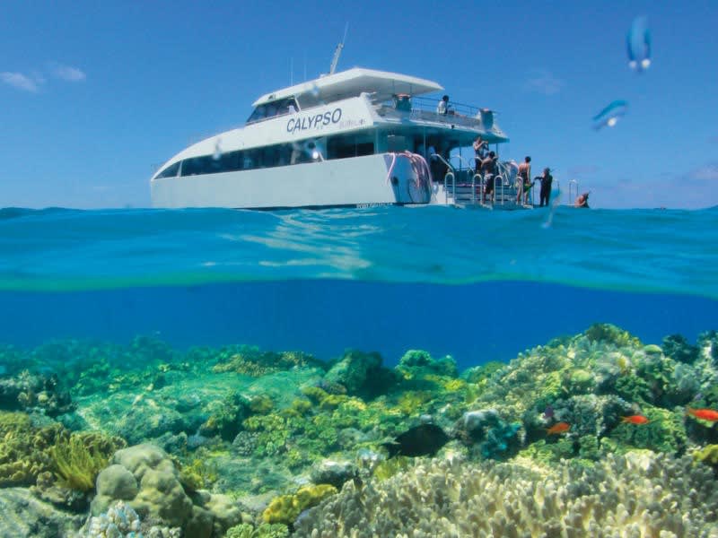 Opal Reef Snorkel Only Cruise