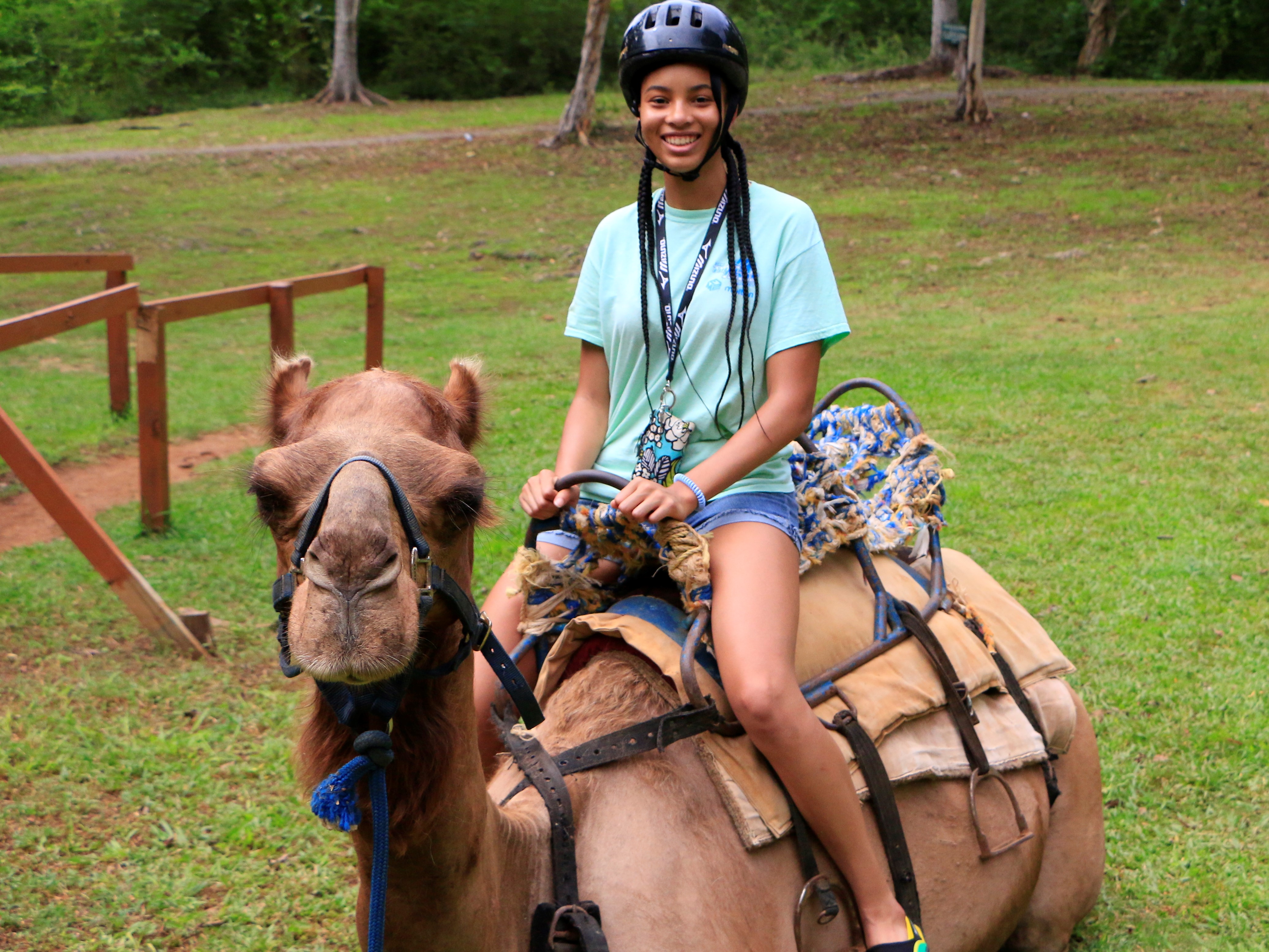 Camel Outback Adventure Tour from Montego Bay