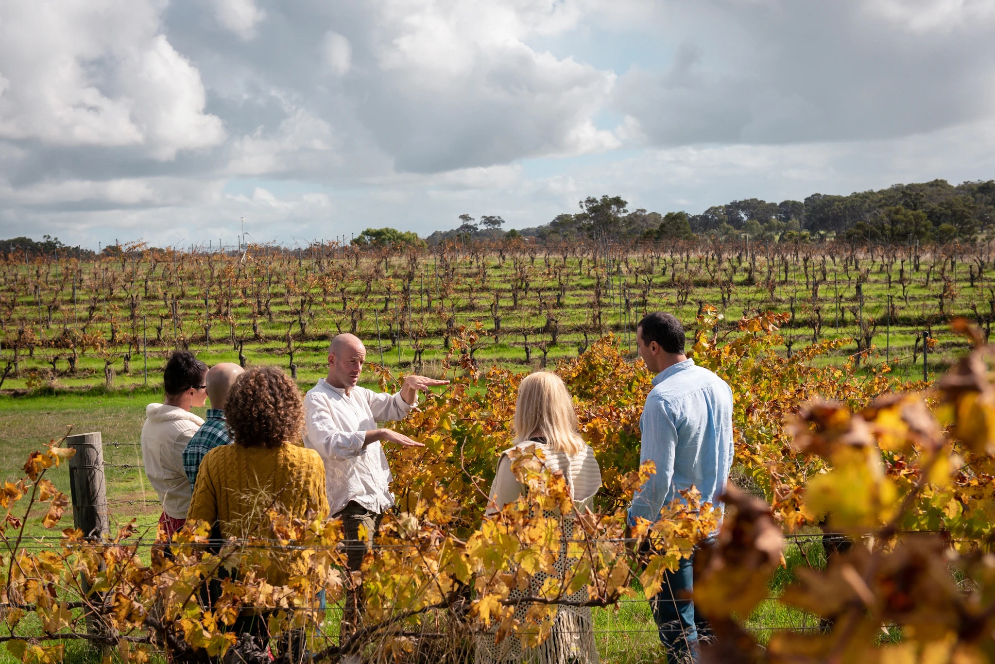 Margaret River Hidden Gems: Full Day Wine, Local Produce and Nature Tour