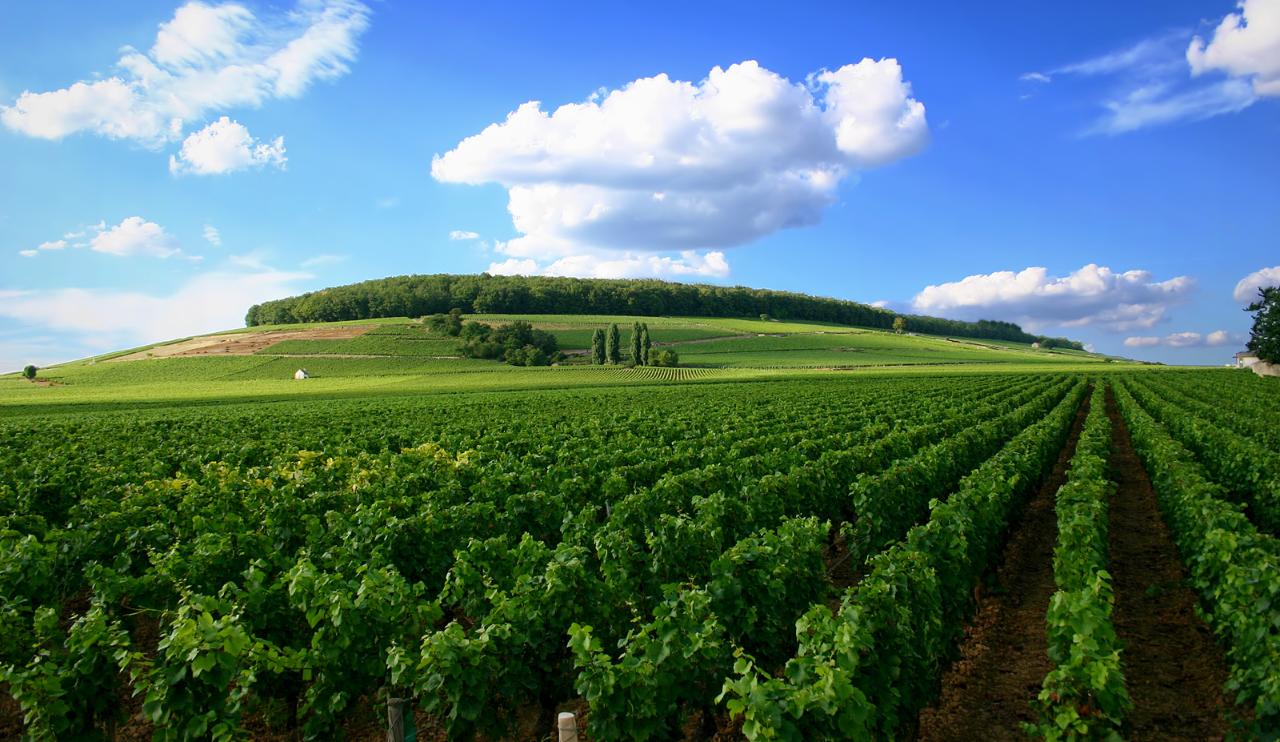 Private Two Day Wine Tour with Accommodation