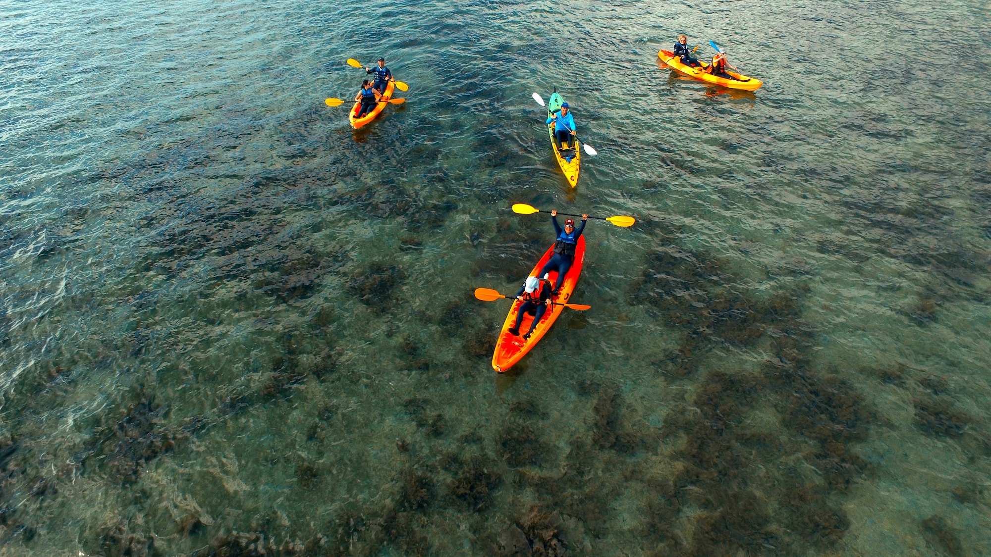 Cairns Sunrise Kayak Reef Tour