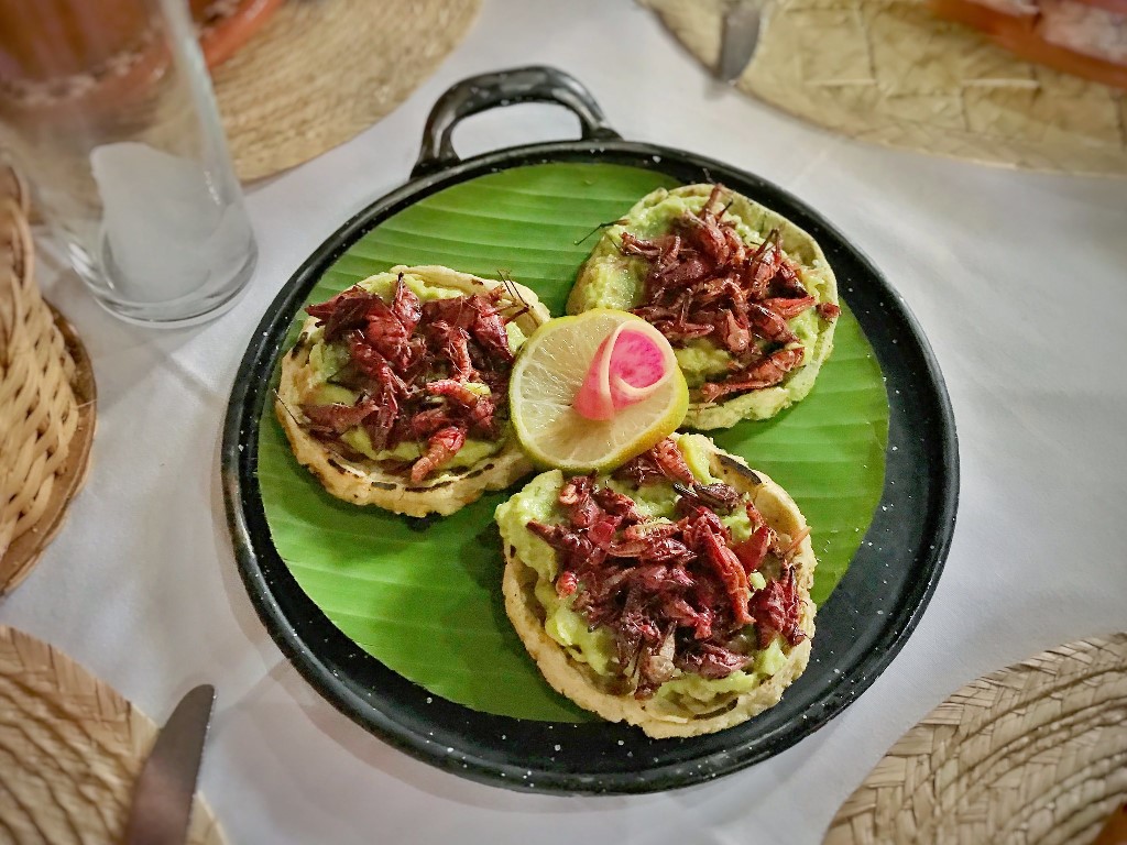 Mexico: Pulque, cider & food tour to Puebla & Tlaxcala