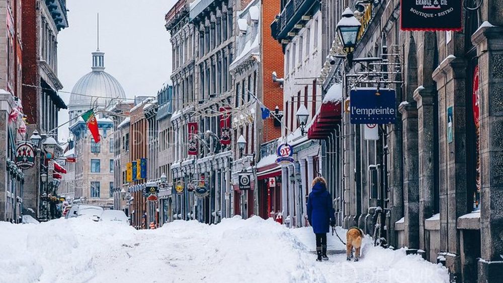 Winter Walking Tour of Old Montreal by MTL Detours