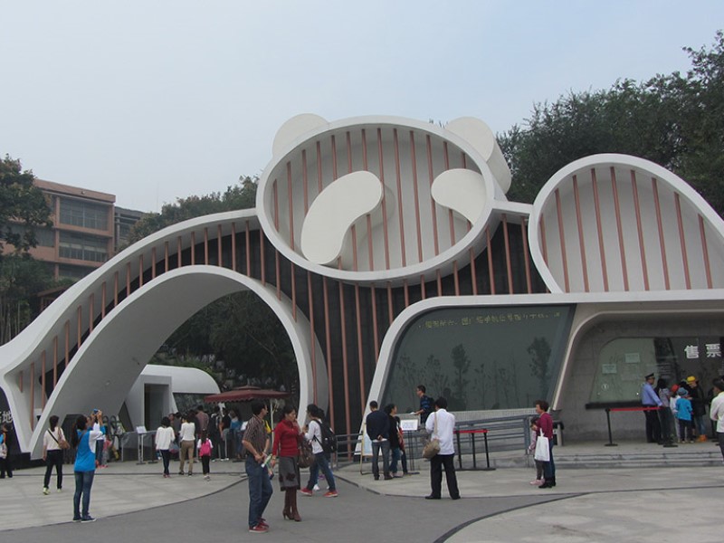 Chengdu Impression Day Tour of Giant Panda and Sichuan Cuisine Museum Private