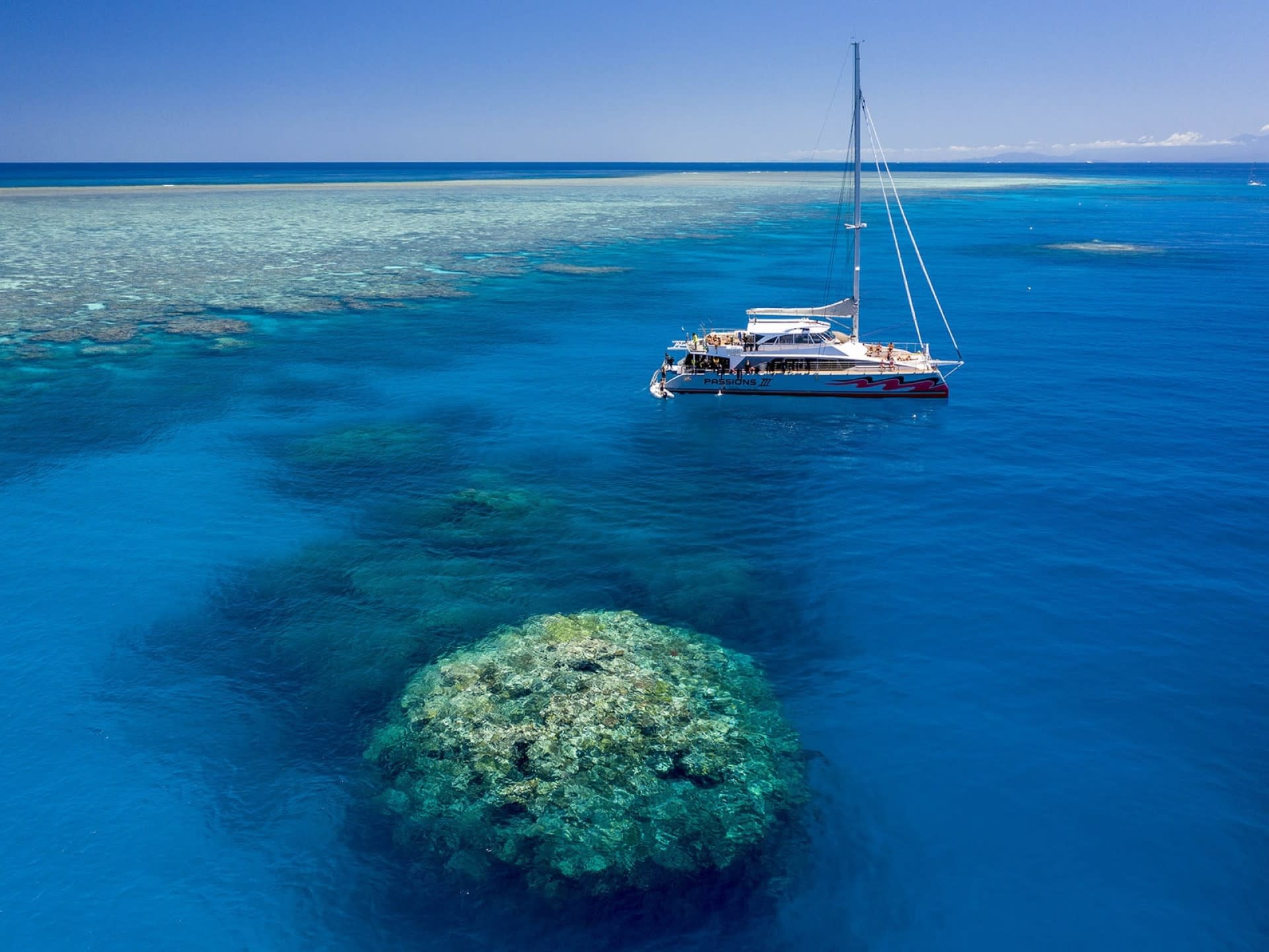Full Day Great Barrier Reef Tour incl Dive