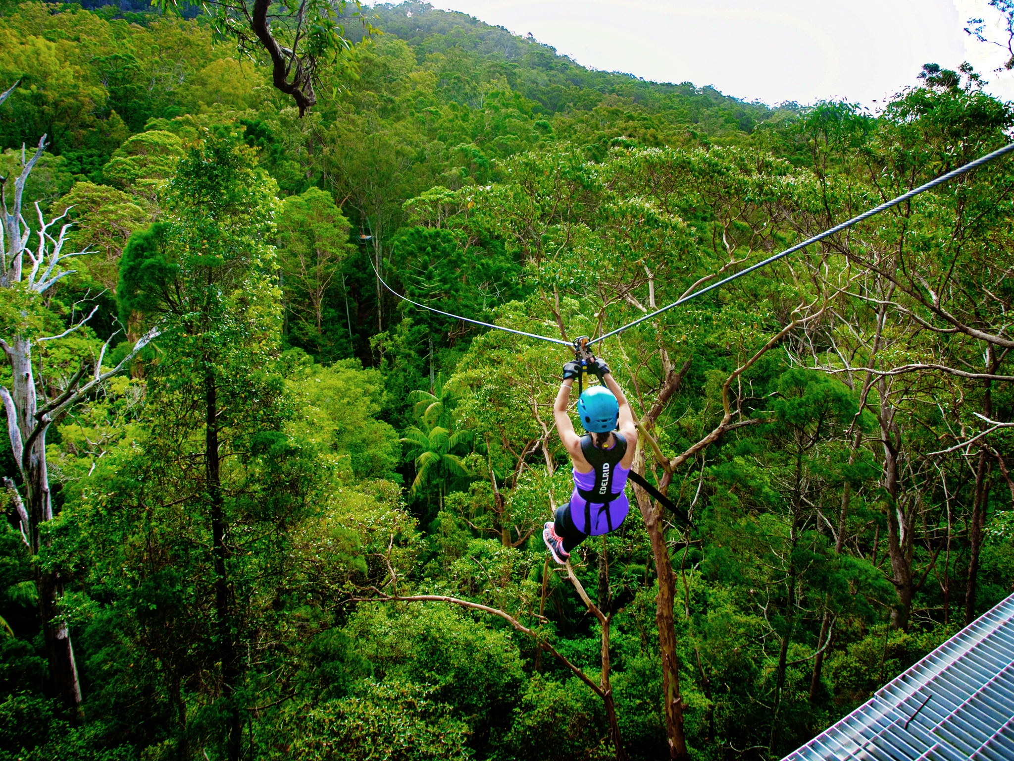 Canyon Flyer Guided Zipline Tour