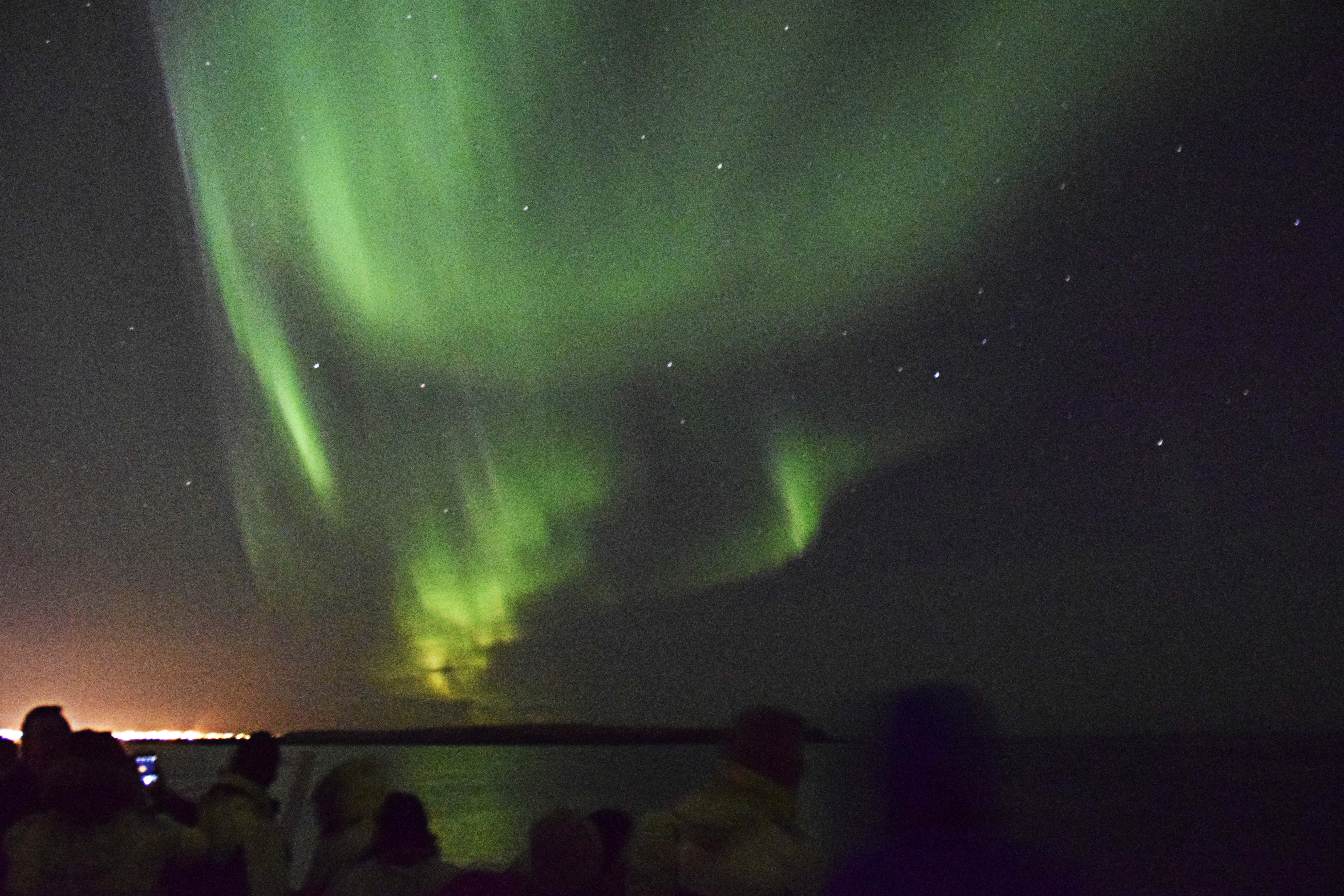 Golden Circle & Northern Lights by boat