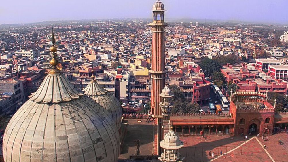 Old Delhi Tour with Local Experience 