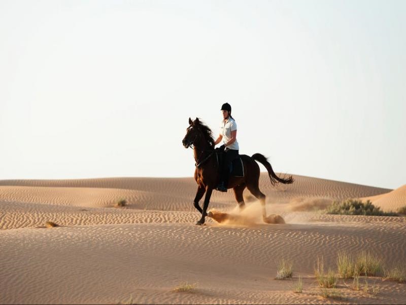 Desert Horse Riding Adventure